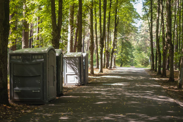 Portable Toilet Options We Offer in Brownstown, PA